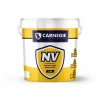 C Nv
