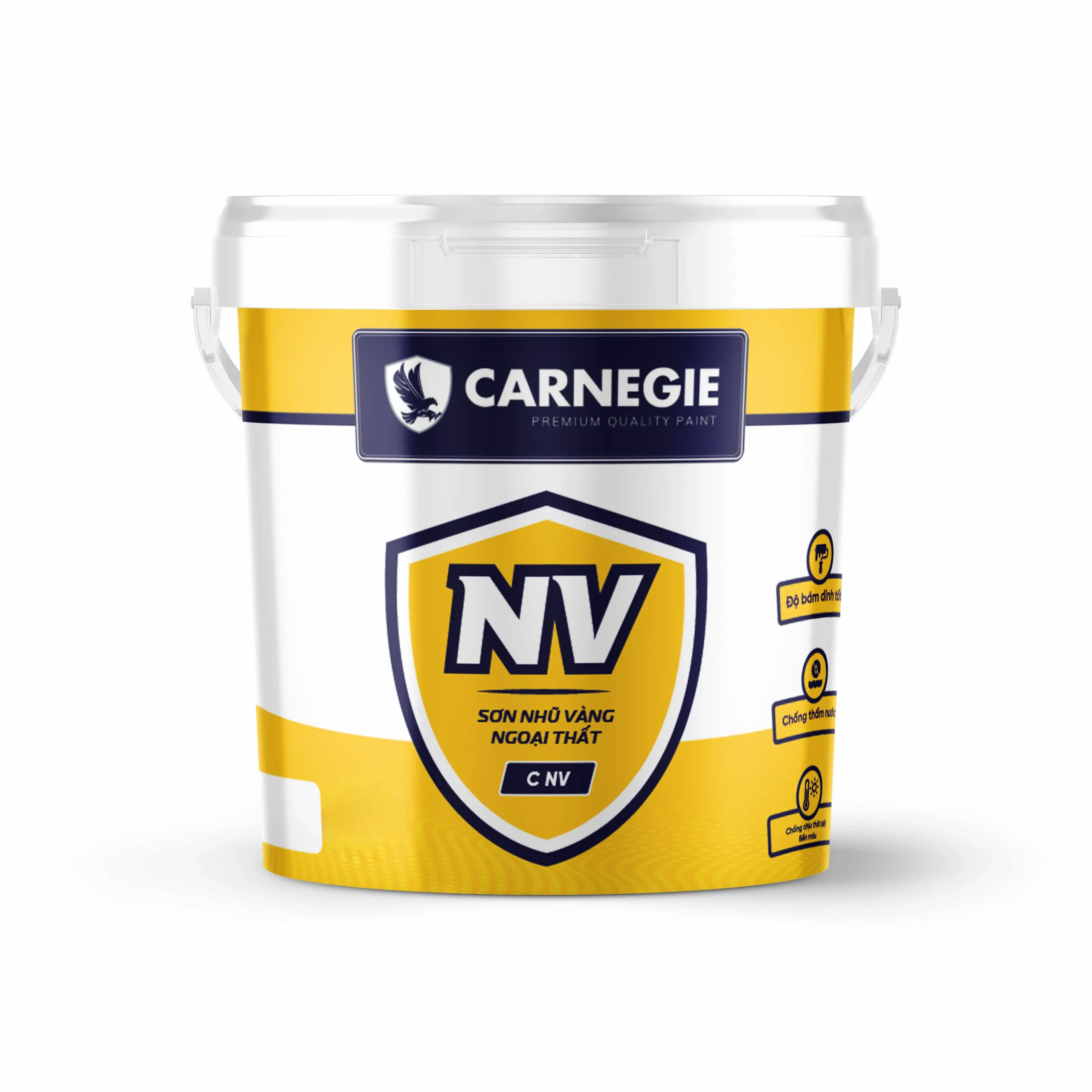 C Nv