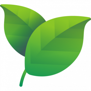 Leaf (1)